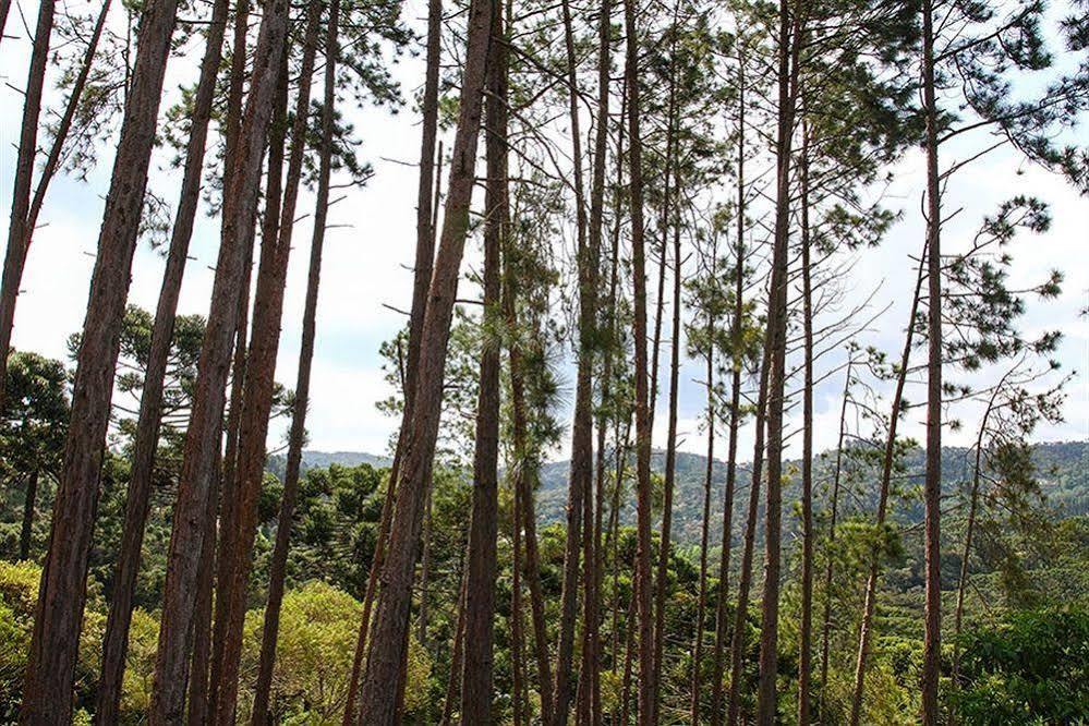 Pousada Campos Verde Campos do Jordao Luaran gambar